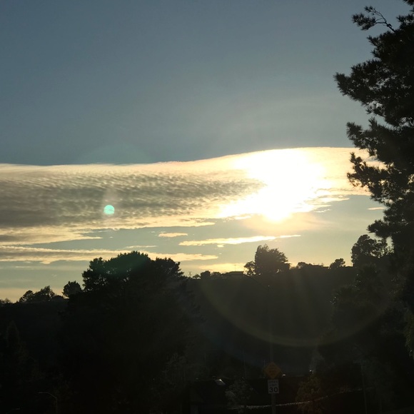 Meet your Posher, Elaine - Picture 1 of 1